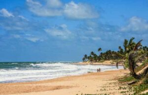 Private Island Rental